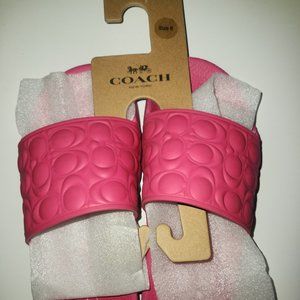 Coach slides